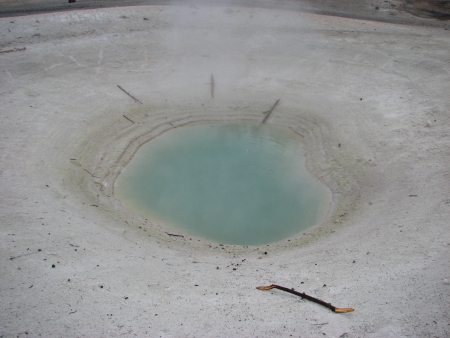 Geyser, Yellowstone National Park in the state of Wyoming - USA