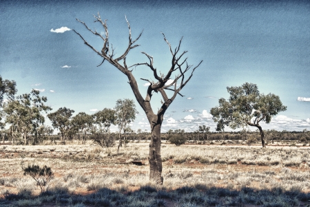 Stunning colors of Autralian Outback - Northern Territory.の写真素材