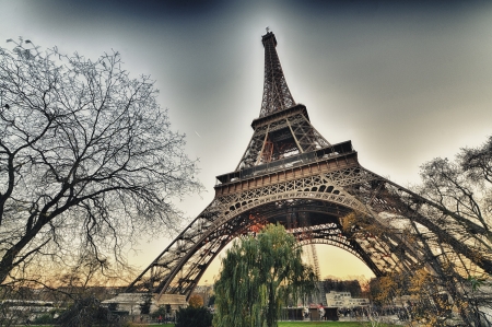 The Eiffel Tower in winter. Bare trees faming Paris landmark.の写真素材