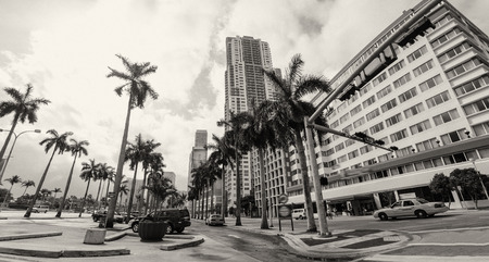 Upward street view of Miami Skyscrapers - USAのeditorial素材