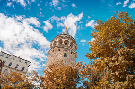 Magnificence of Galata Tower framed by trees - Istanbul, Turkey.のeditorial素材