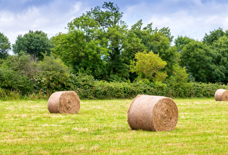 Scenic landscape with hay bales on Summer day, Normandy - France.