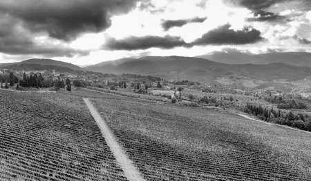 Countryside scenery, aerial view.の写真素材