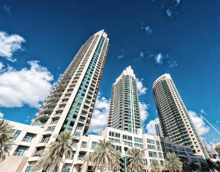 Dubai skyline, street view.