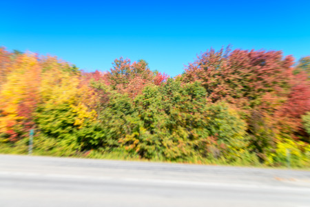 Blurred view of fall foliage.の写真素材