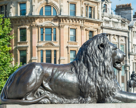 Lion statue of Trafalgar Square, London.のeditorial素材