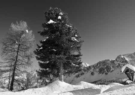 Snowy Landscape of Dolomites Mountains during Winter Season, Italyの写真素材