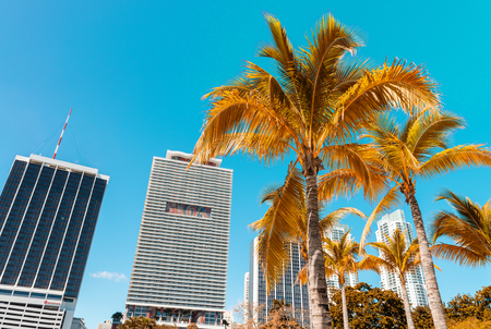 MIAMI - FEBRUARY 25, 2016: Beautiful city skyline. Miami hit record 15.5 million tourists in 2015.のeditorial素材