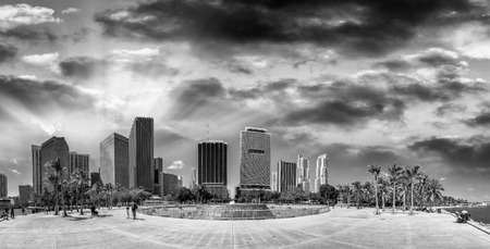 Black and white view of Bayfront Park and buildings in Downtown Miami - Florida.のeditorial素材