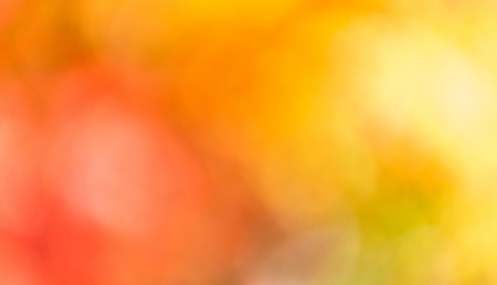 Background of foliage season.の写真素材