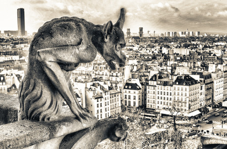 Magnificence of Paris skyline, France.の写真素材