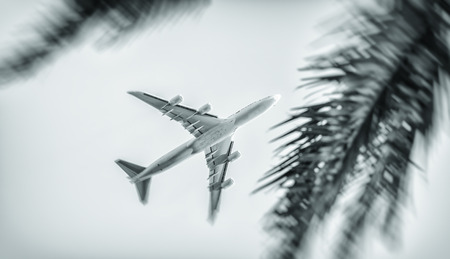 Airplane flying between palms. Travel concept.の写真素材
