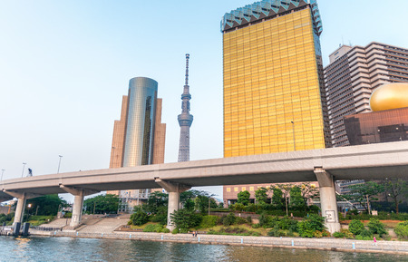 Tokyo, Japan. Sumida river viewpoint to see sky tree tower landmark.