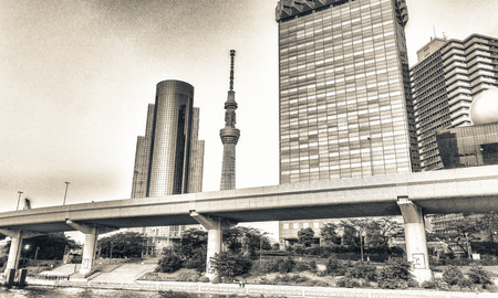 Tokyo, Japan. Sumida river viewpoint to see sky tree tower landmark.