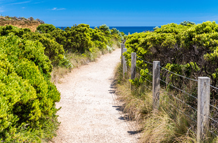 Great Ocean Road Coastline in Victoria State, Australia.