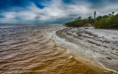 Captiva Island Beach, Florida.の写真素材