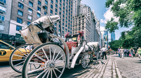 NEW YORK CITY - JUNE 2013: Horse carriage awaits customers on 59st. It is a very popular attraction...
