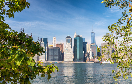 Downtown Manhattan skyline from Brooklyn Bridge Park.