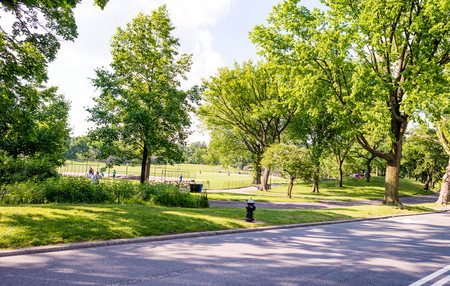 NEW YORK CITY - JUNE 15, 2013: Tourists enjoy Central Park in summer season. New York attracts 50 million people every year.のeditorial素材
