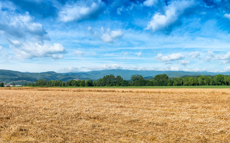 Tuscan countryside in summer season.の写真素材