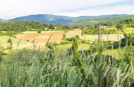 Tuscany, Italy. Rural sunset landscape. Countryside meadows, green field, sun light and clouds.の写真素材