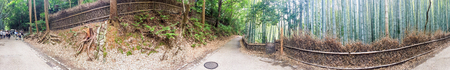 KYOTO - MAY 30, 2016: Tourists in Bamboo Forest Park. Kyoto is a major attraction in Japan.のeditorial素材