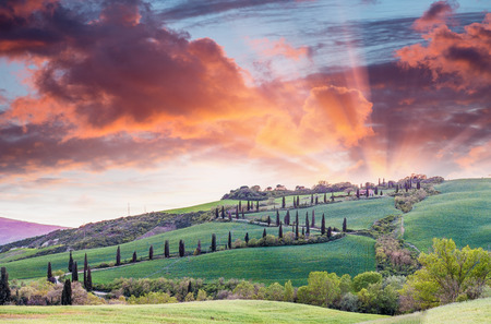 Panoramic sunset of of famous hill of cypresses in Tuscany, Italy.のeditorial素材