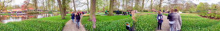 KEUKENHOF; THE NETHERLANDS - APRIL 2015: Tourists visit Keukenhof gardens in spring. This is a major natural attraction in Holland.のeditorial素材