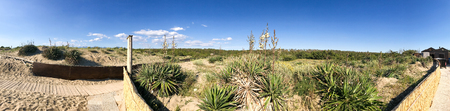 Beautiful beach, panoramic view of Tuscany coastline.の写真素材