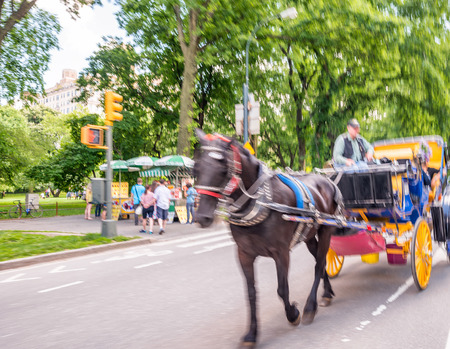 NEW YORK CITY - JUNE 2013: Blurred motion of Horse Carriage in Central Park.のeditorial素材