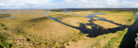 Panoramic aerial view of Everglades Swamps.の写真素材