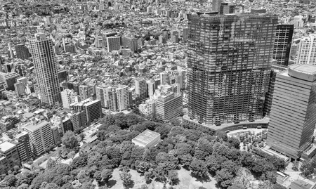 Aerial view of Tokyo.の写真素材