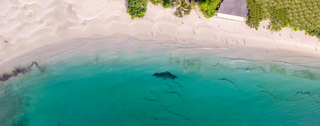 Overhead panoramic view of beautiful tropical beach with trees and swimmers.