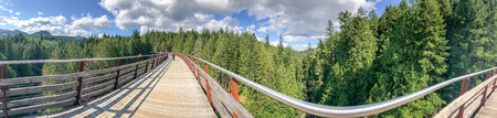 Panoramic view of Kinsol Trestle wooden bridge in Vancouver Island, Canada.の写真素材
