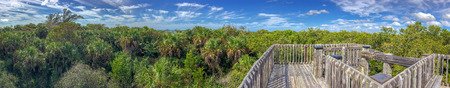 Wooden path across the Everglades, panoramic view.の写真素材