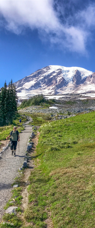MT RAINIER, WA - AUGUST 17, 2017: Tourists enjoy mountain panorama. This is a major attraction in Washington State..のeditorial素材