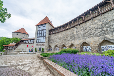 TALLINN, ESTONIA - JULY 2, 2017: Neitsitorn museum, exterior view. This is a major attraction in Tallinn.のeditorial素材
