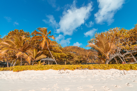 Beautiful beach of Seychellesの写真素材