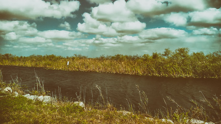 Aerial view of Everglades landscape, Florida.の写真素材