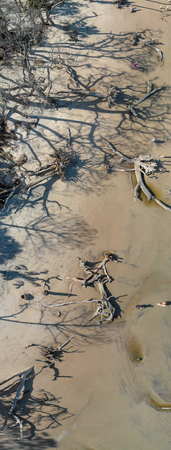 Panoramic aerial view of Jekyll Island and Driftwood Beach, Georgia.のeditorial素材