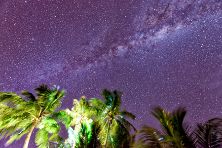Palms at night with stars in the sky. Tropical holiday concept.の写真素材