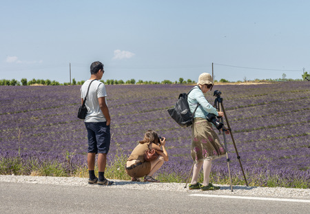 PROVENCE, FRANCE - JULY 2013: Photographers enjoy lavender meadows in summer. Provence region is a famous tourist attraction in summer.のeditorial素材