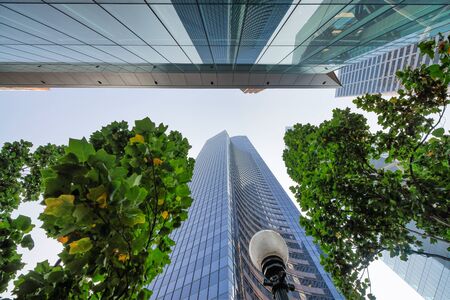 Skyscrapers surrounded by trees, skyward view. Business and corporate concept.の写真素材