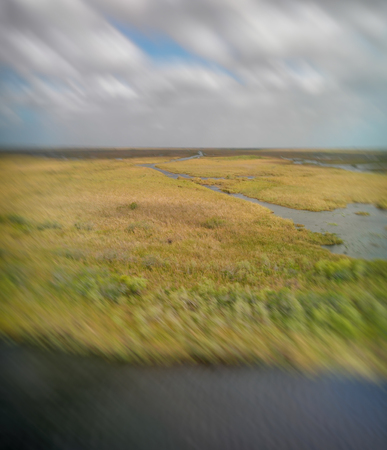Panoramic aerial view of Everglades swamps.