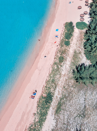 Overhead aerial view of beautiful beach with vegetation.の写真素材