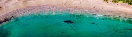 Overhead panoramic view of beautiful tropical beach with trees and swimmers.