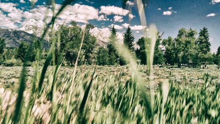 Ground view of Grand Teton peaks and landscape  on a beautiful summer day, Wyoming - USA.の写真素材