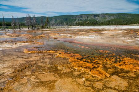 Biscuit Basin, Yellowstone National Park, Wyoming.の写真素材
