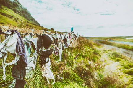 Collection of Bras along countryside road.の写真素材