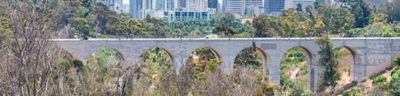 Bridge and San Diego skyline with trees on foreground.の写真素材